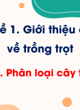 CN Trồng trọt - Bài 2. Phân loại cây trồng